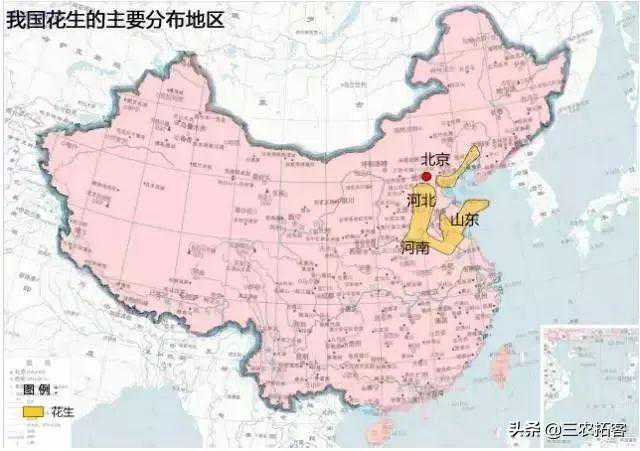 竞争刚刚开始！盘点市场上最火的9款花生收获机