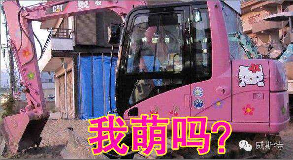 十月十日卖萌日！CAT争做挖机界的武林“盟”主！