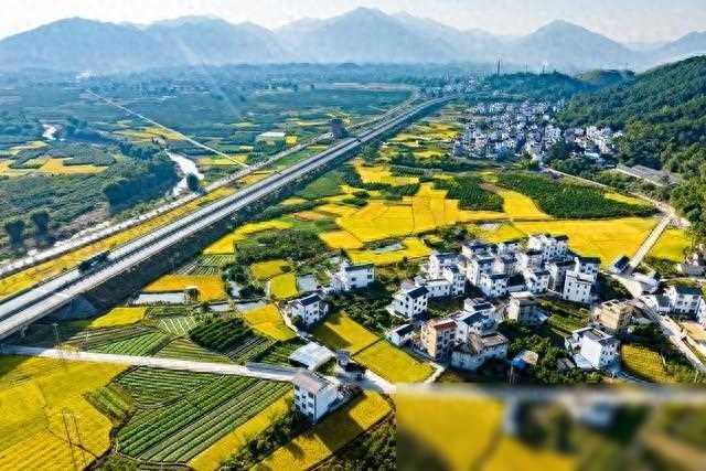 令人惊叹的玉米收割机，工作原理是什么？看完涨知识了