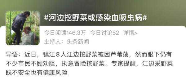 河边挖野菜？小心中毒