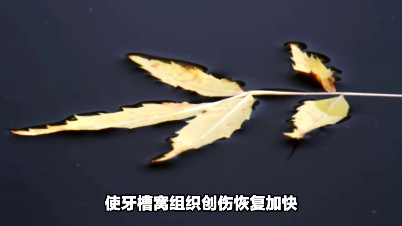 种植机和涡轮机拔牙有什么区别？
