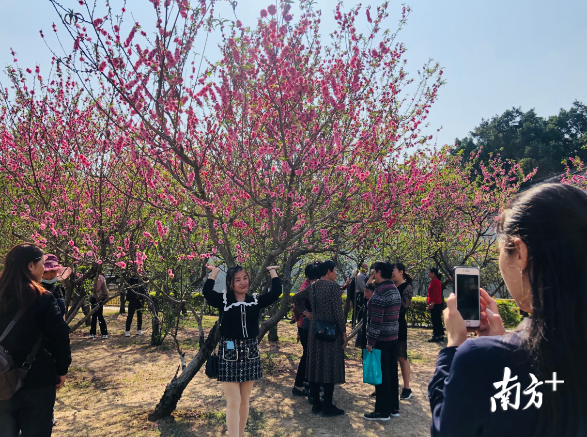 潮州环境卫生整治进行时｜脏乱差路段变小公园 村民自行拆除违建