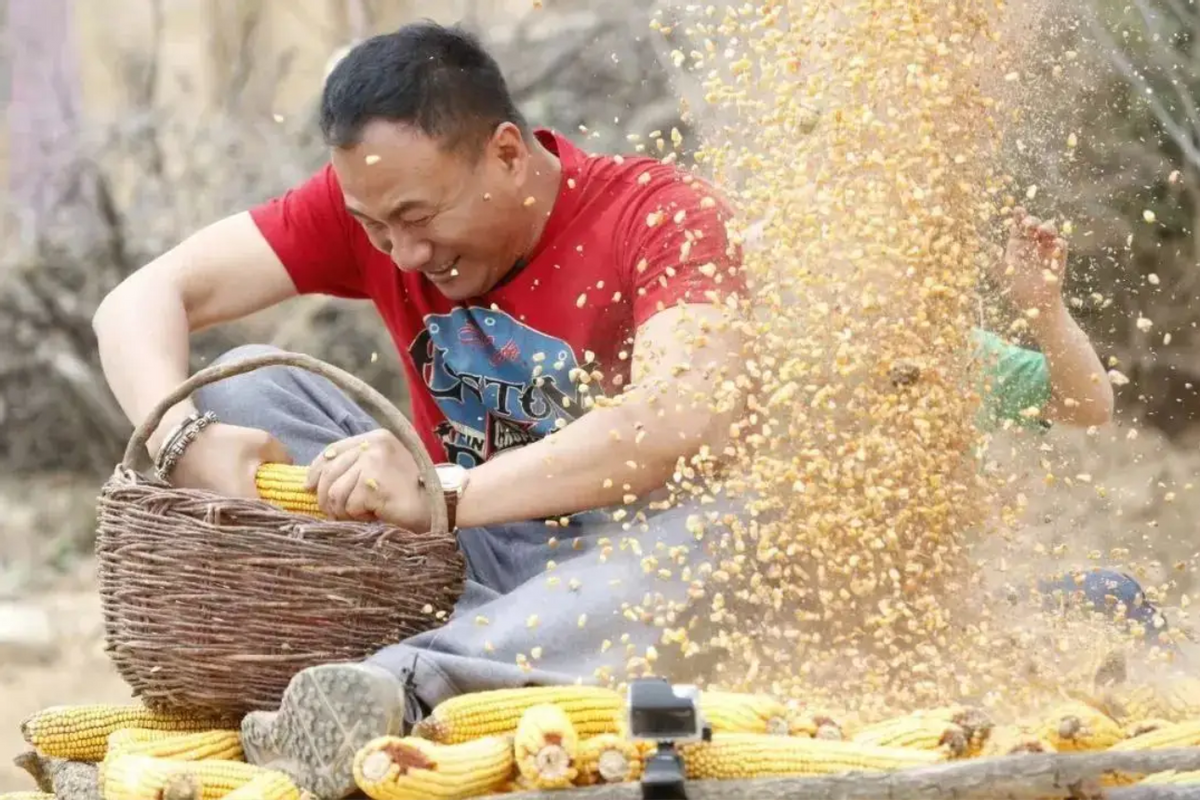 山东牛人发明玉米脱粒机，效率是人工百倍，农机专家赞不绝口