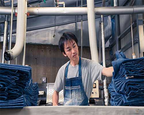 鸠江区：秋粮开镰 稻谷归仓